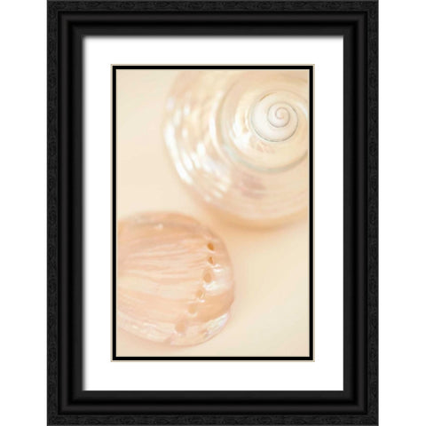 Ocean Treasures II Black Ornate Wood Framed Art Print with Double Matting by Millet, Karyn