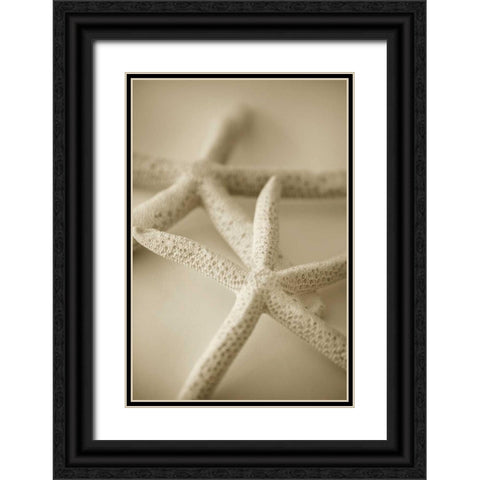 Ocean Treasures V Black Ornate Wood Framed Art Print with Double Matting by Millet, Karyn
