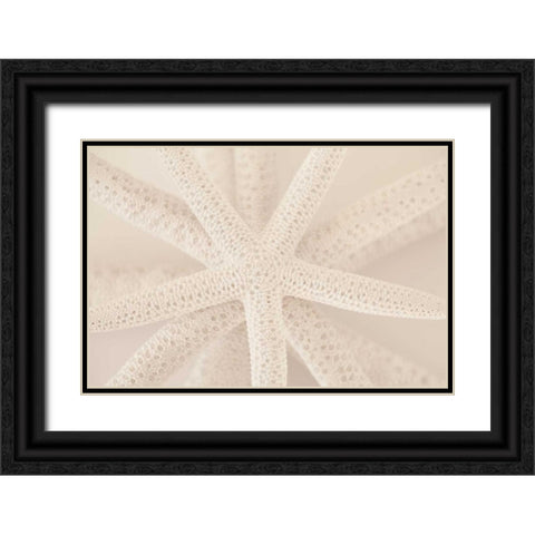 Ocean Treasures VII Black Ornate Wood Framed Art Print with Double Matting by Millet, Karyn