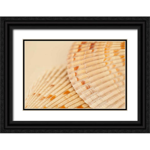 Ocean Treasures XIII Black Ornate Wood Framed Art Print with Double Matting by Millet, Karyn