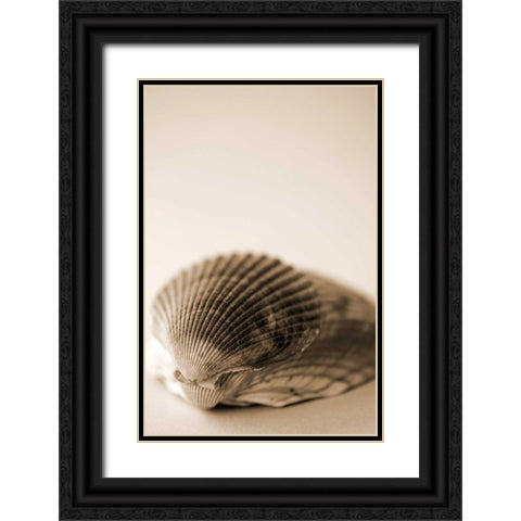 Shell Symmetry I Black Ornate Wood Framed Art Print with Double Matting by Millet, Karyn