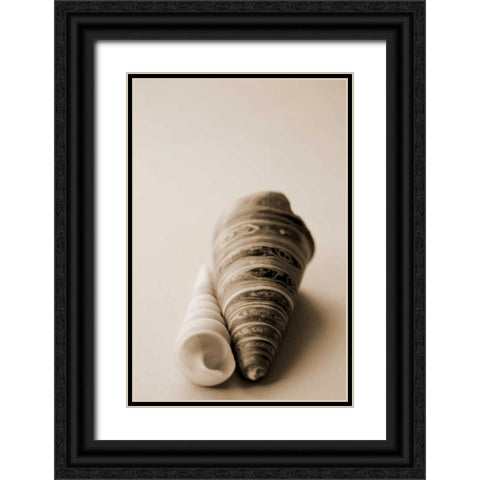 Shell Symmetry II Black Ornate Wood Framed Art Print with Double Matting by Millet, Karyn