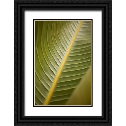 Tropical Leaves II Black Ornate Wood Framed Art Print with Double Matting by Millet, Karyn