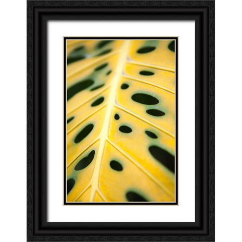 Tropical Leaves III Black Ornate Wood Framed Art Print with Double Matting by Millet, Karyn