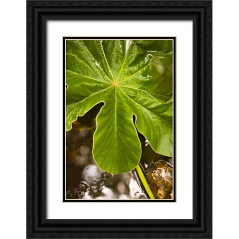 Tropical Leaves IV Black Ornate Wood Framed Art Print with Double Matting by Millet, Karyn