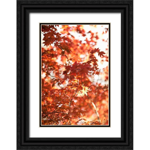 In the Trees I Black Ornate Wood Framed Art Print with Double Matting by Millet, Karyn