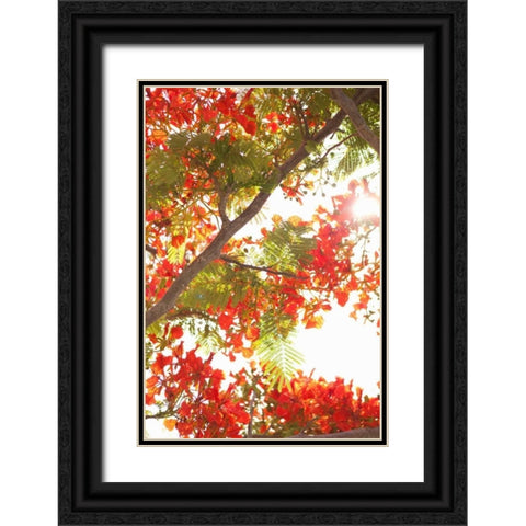 In the Trees II Black Ornate Wood Framed Art Print with Double Matting by Millet, Karyn