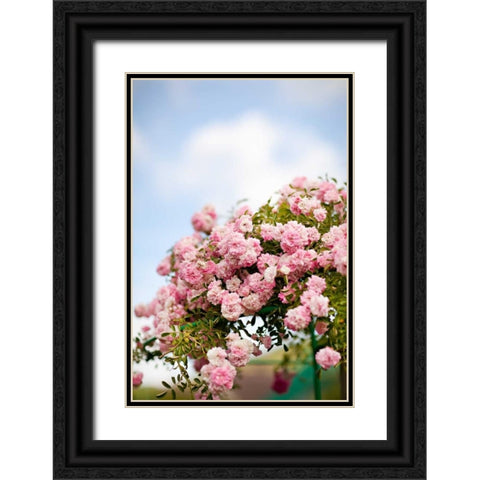 Spring Blossoms I Black Ornate Wood Framed Art Print with Double Matting by Millet, Karyn