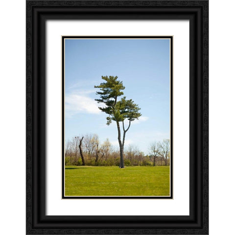 Tree II Black Ornate Wood Framed Art Print with Double Matting by Millet, Karyn