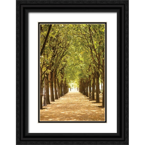 Follow the Path I Black Ornate Wood Framed Art Print with Double Matting by Millet, Karyn