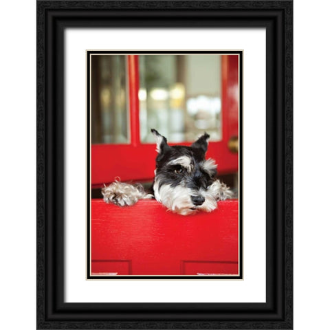 A Dogs Life I Black Ornate Wood Framed Art Print with Double Matting by Millet, Karyn