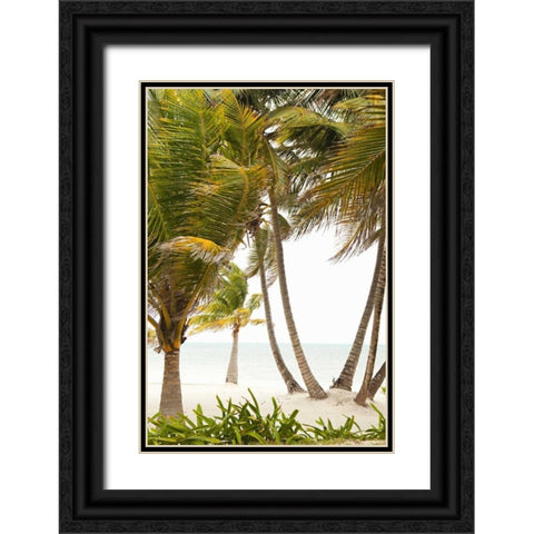 Tropical Oasis II Black Ornate Wood Framed Art Print with Double Matting by Millet, Karyn