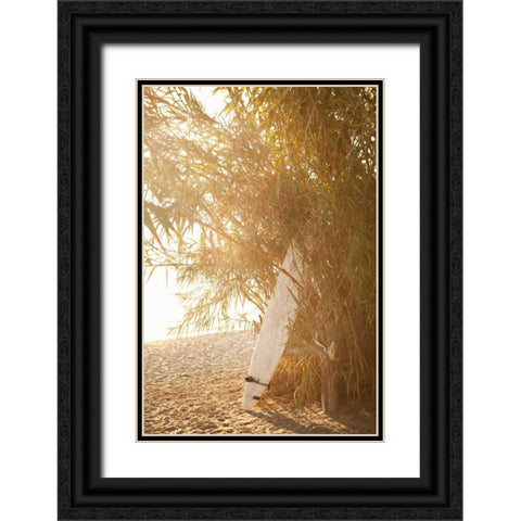 Tropical Oasis V Black Ornate Wood Framed Art Print with Double Matting by Millet, Karyn