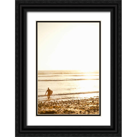 Tropical Oasis VI Black Ornate Wood Framed Art Print with Double Matting by Millet, Karyn