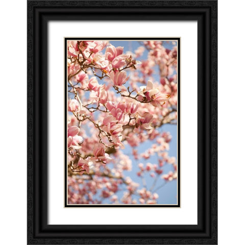 In Bloom III Black Ornate Wood Framed Art Print with Double Matting by Millet, Karyn