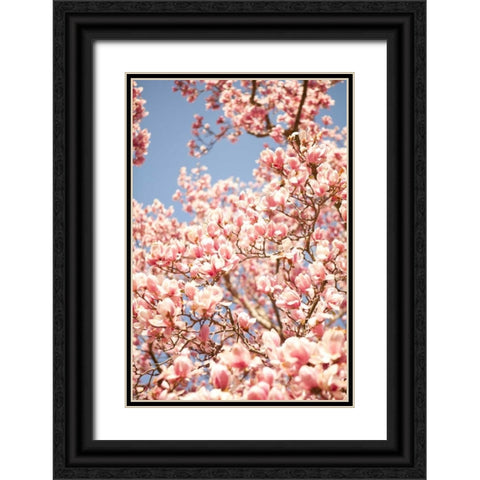 In Bloom IV Black Ornate Wood Framed Art Print with Double Matting by Millet, Karyn