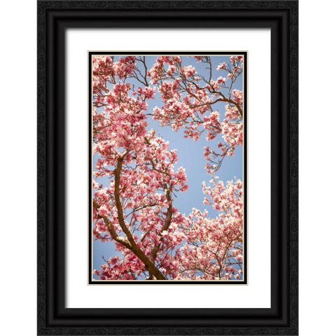 In Bloom V Black Ornate Wood Framed Art Print with Double Matting by Millet, Karyn