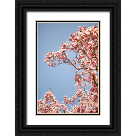 In Bloom VI Black Ornate Wood Framed Art Print with Double Matting by Millet, Karyn