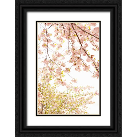 In Bloom XIX Black Ornate Wood Framed Art Print with Double Matting by Millet, Karyn