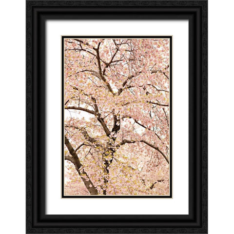 In Bloom XXII Black Ornate Wood Framed Art Print with Double Matting by Millet, Karyn