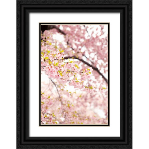 In Bloom XXIII Black Ornate Wood Framed Art Print with Double Matting by Millet, Karyn
