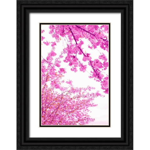 Bright Blooms I Black Ornate Wood Framed Art Print with Double Matting by Millet, Karyn