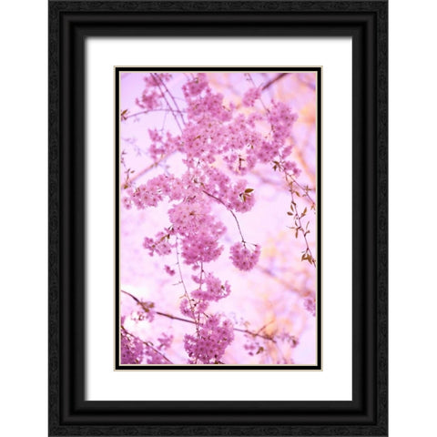 Bright Blooms III Black Ornate Wood Framed Art Print with Double Matting by Millet, Karyn