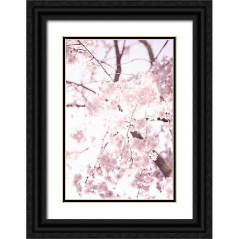 Soft Blooms I Black Ornate Wood Framed Art Print with Double Matting by Millet, Karyn