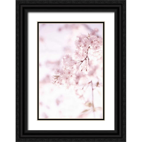 Soft Blooms II Black Ornate Wood Framed Art Print with Double Matting by Millet, Karyn