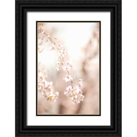 Soft Blooms III Black Ornate Wood Framed Art Print with Double Matting by Millet, Karyn