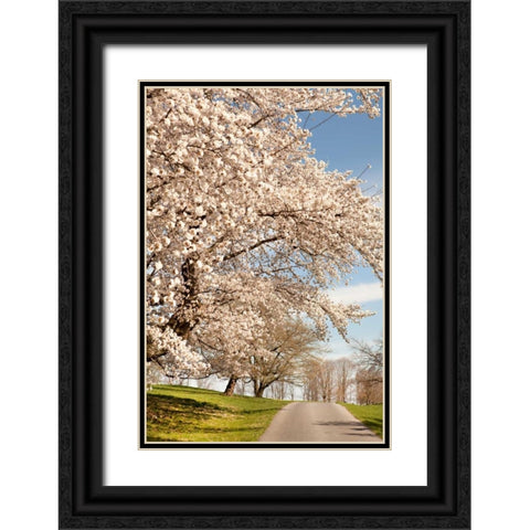 In the Park I Black Ornate Wood Framed Art Print with Double Matting by Millet, Karyn