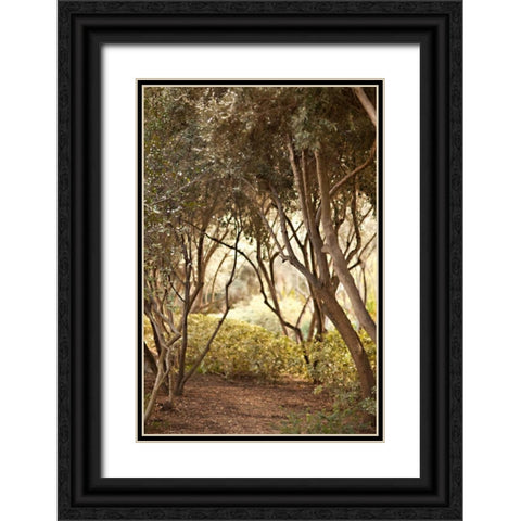 Secret Garden I Black Ornate Wood Framed Art Print with Double Matting by Millet, Karyn