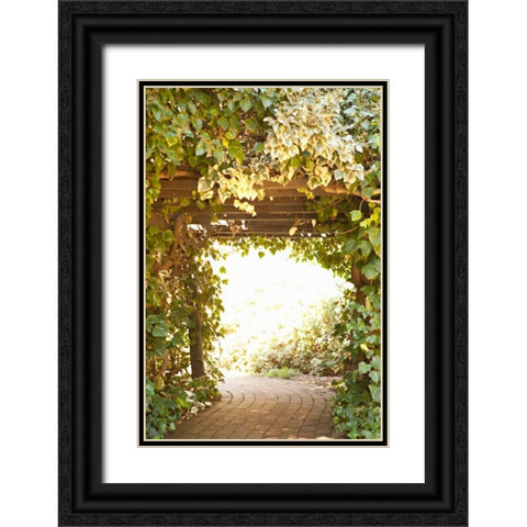 Secret Garden II Black Ornate Wood Framed Art Print with Double Matting by Millet, Karyn