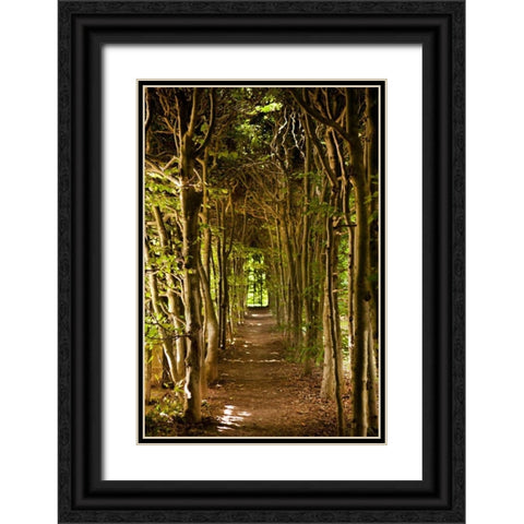 Secret Garden III Black Ornate Wood Framed Art Print with Double Matting by Millet, Karyn