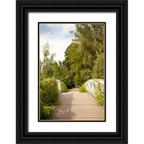 Secret Garden IV Black Ornate Wood Framed Art Print with Double Matting by Millet, Karyn