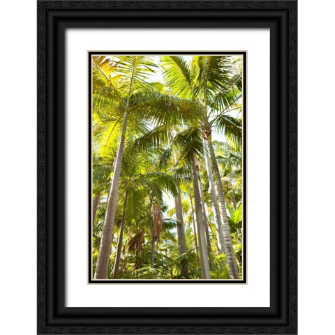 Tropical Oasis I Black Ornate Wood Framed Art Print with Double Matting by Millet, Karyn