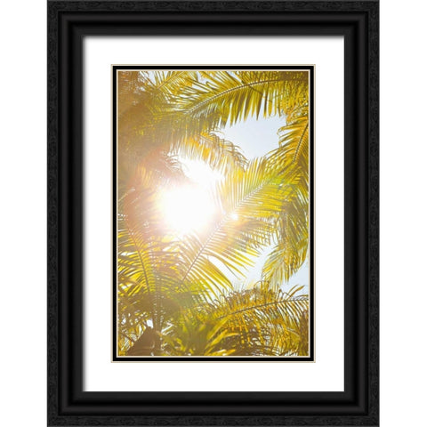 Tropical Oasis II Black Ornate Wood Framed Art Print with Double Matting by Millet, Karyn