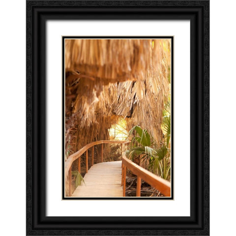 Palm Pathway I Black Ornate Wood Framed Art Print with Double Matting by Millet, Karyn