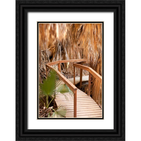 Palm Pathway II Black Ornate Wood Framed Art Print with Double Matting by Millet, Karyn