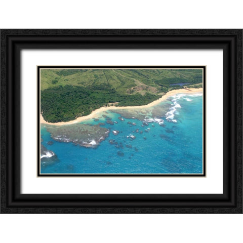 Vieques Sea II Black Ornate Wood Framed Art Print with Double Matting by Millet, Karyn