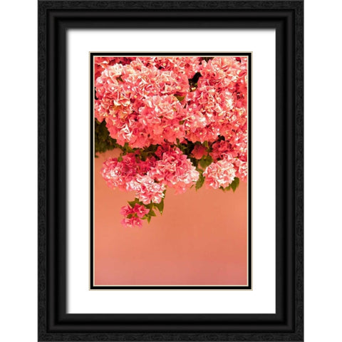 Over the Wall I Black Ornate Wood Framed Art Print with Double Matting by Millet, Karyn