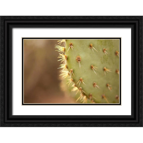 Cactus II Black Ornate Wood Framed Art Print with Double Matting by Millet, Karyn