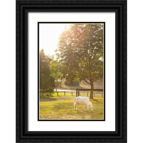White Pony Black Ornate Wood Framed Art Print with Double Matting by Millet, Karyn