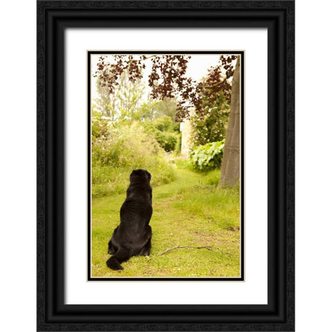 Watch Dog Black Ornate Wood Framed Art Print with Double Matting by Millet, Karyn