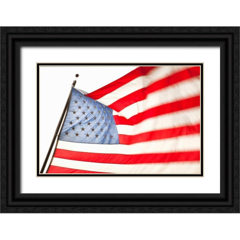Stars and Stripes II Black Ornate Wood Framed Art Print with Double Matting by Millet, Karyn