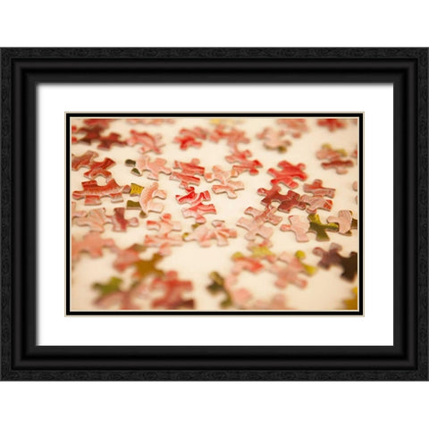 Puzzle III Black Ornate Wood Framed Art Print with Double Matting by Millet, Karyn