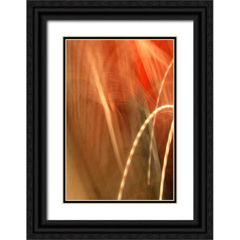 Copper Curves I Black Ornate Wood Framed Art Print with Double Matting by Millet, Karyn