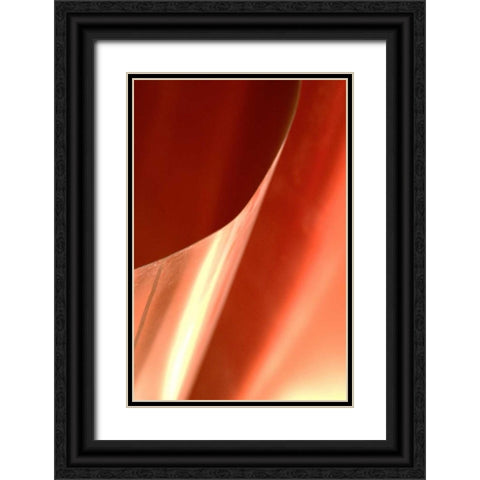 Copper Curves II Black Ornate Wood Framed Art Print with Double Matting by Millet, Karyn