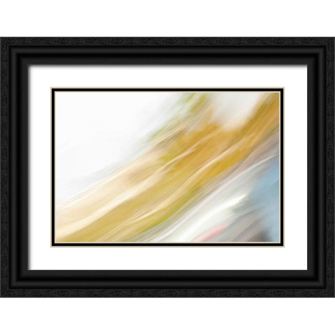 Color Streaks II Black Ornate Wood Framed Art Print with Double Matting by Millet, Karyn
