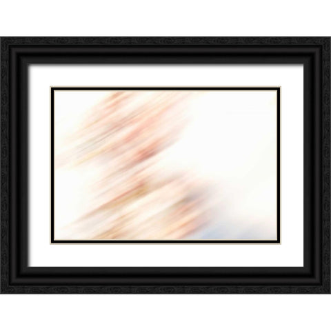 Color Streaks III Black Ornate Wood Framed Art Print with Double Matting by Millet, Karyn